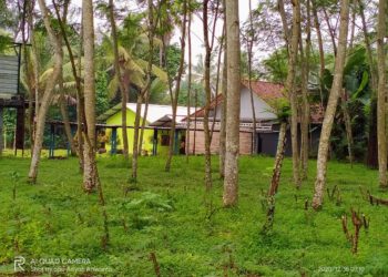 HIMBAUAN TA’AWUN PEMBEBASAN LAHAN PENGEMBANGAN MA’HAD AL-MANSHUROH KEJOBONG PURBALINGGA
